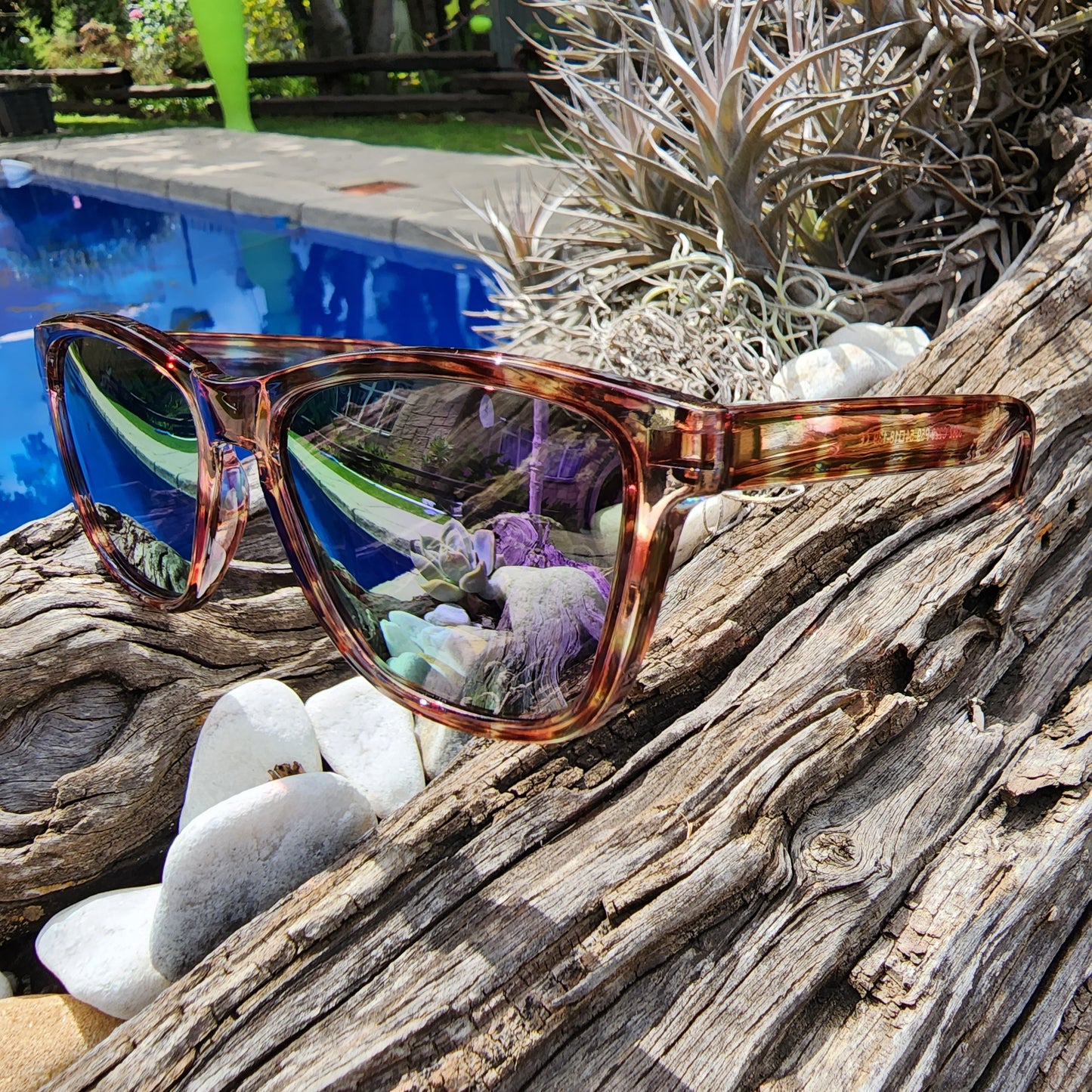 Mzanzi Mulbarton Mystique - SekelBoer