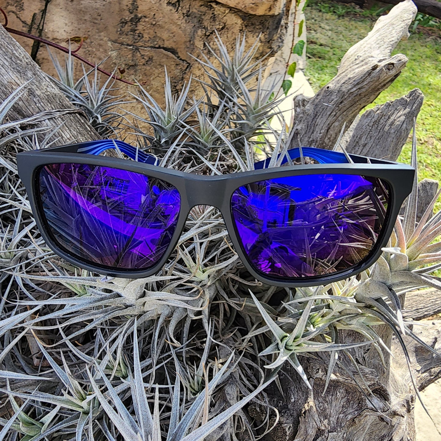 Paranoid Royal Reflection - SekelBoer