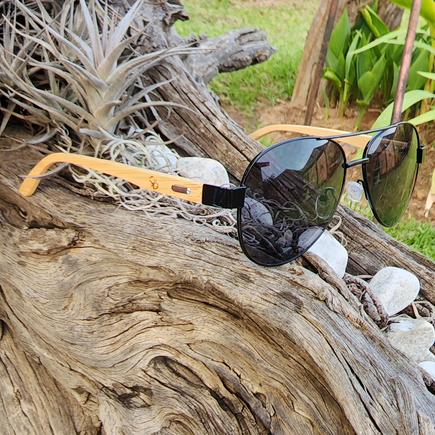 Bamboo Gauteng Glimmer - SekelBoer