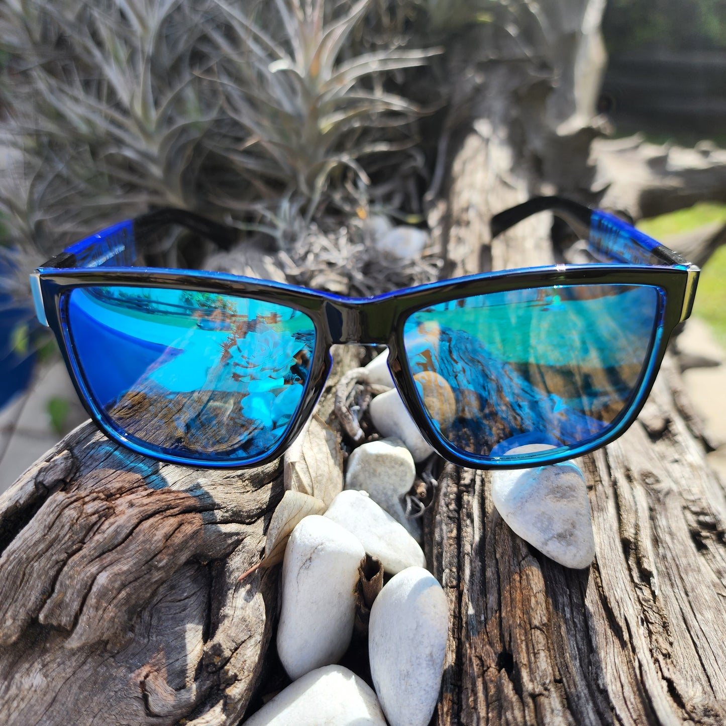 Dubery Navy Nectar - SekelBoer