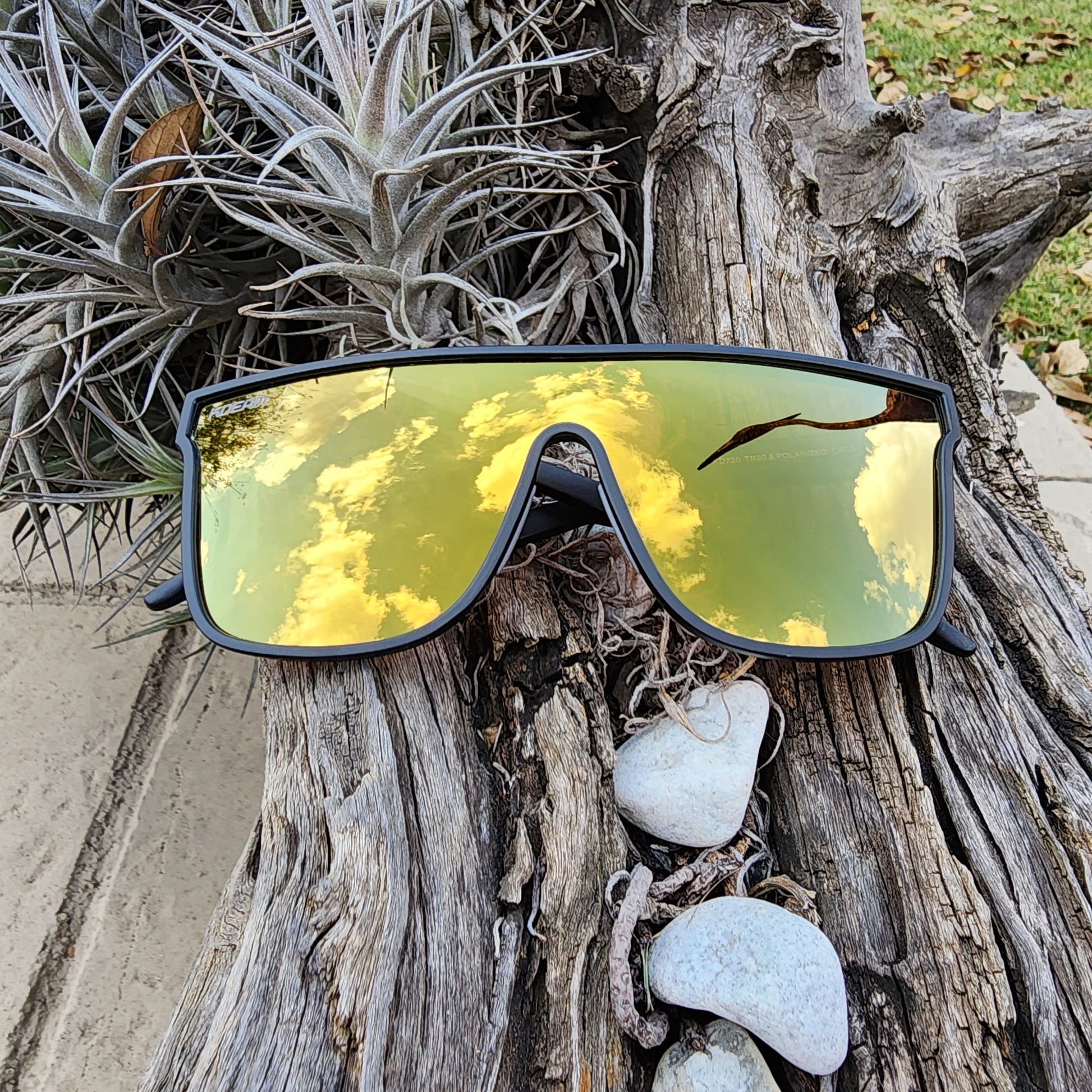 Kdream Oversized Rooibos Root - SekelBoer