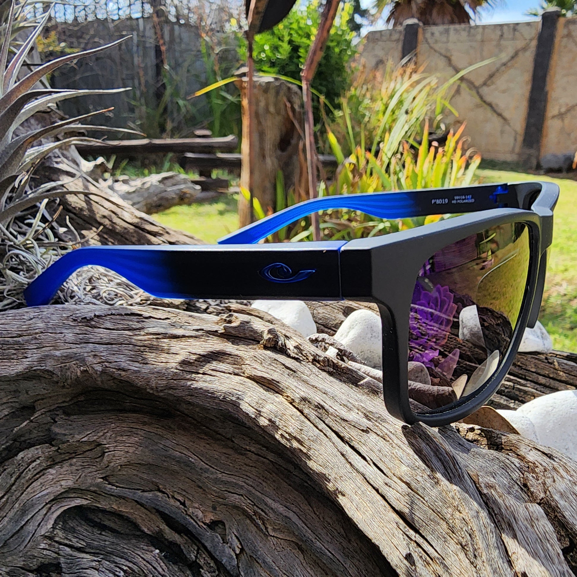 Paranoid Royal Reflection - SekelBoer