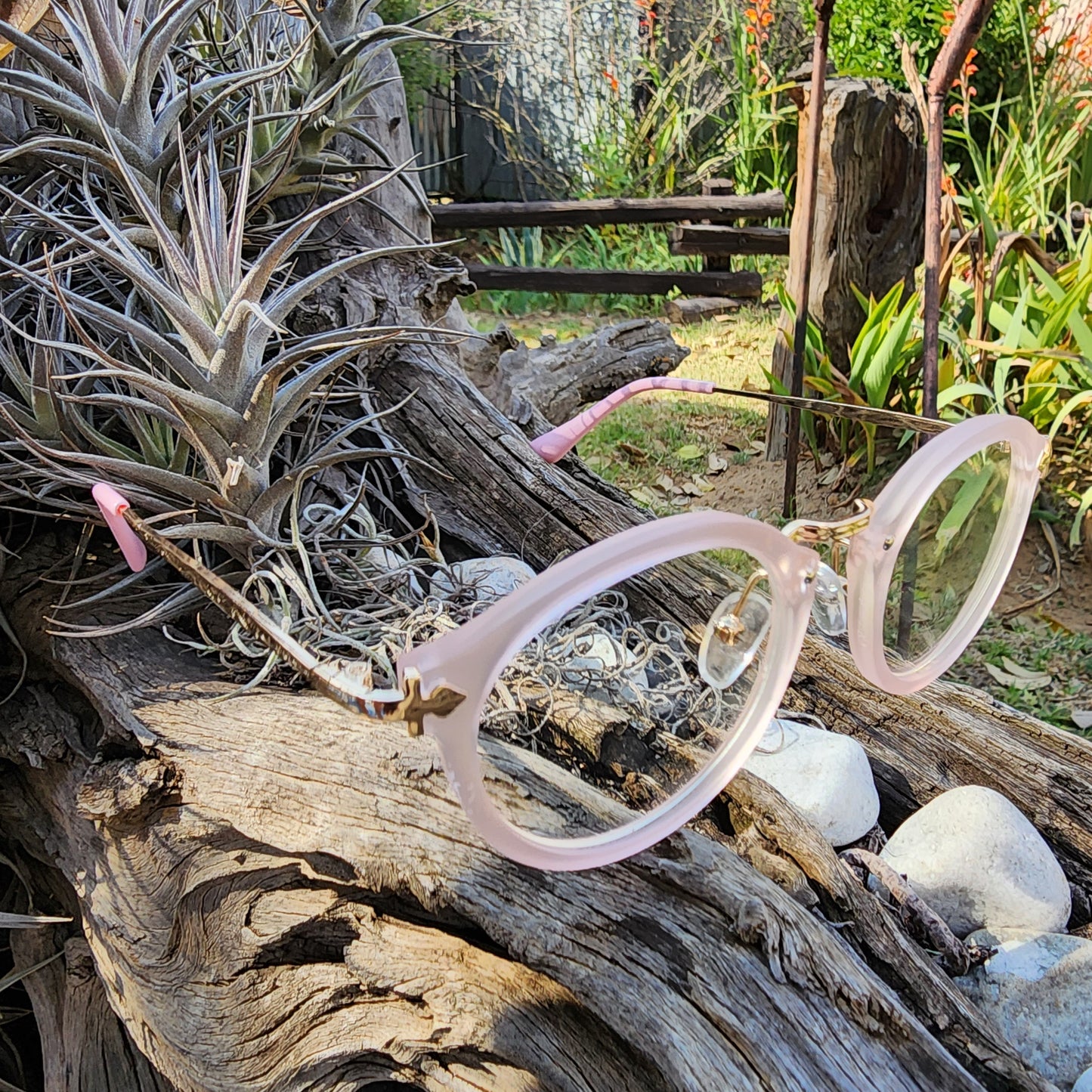 Kdream Flip Kirstenbosch Kiss - SekelBoer