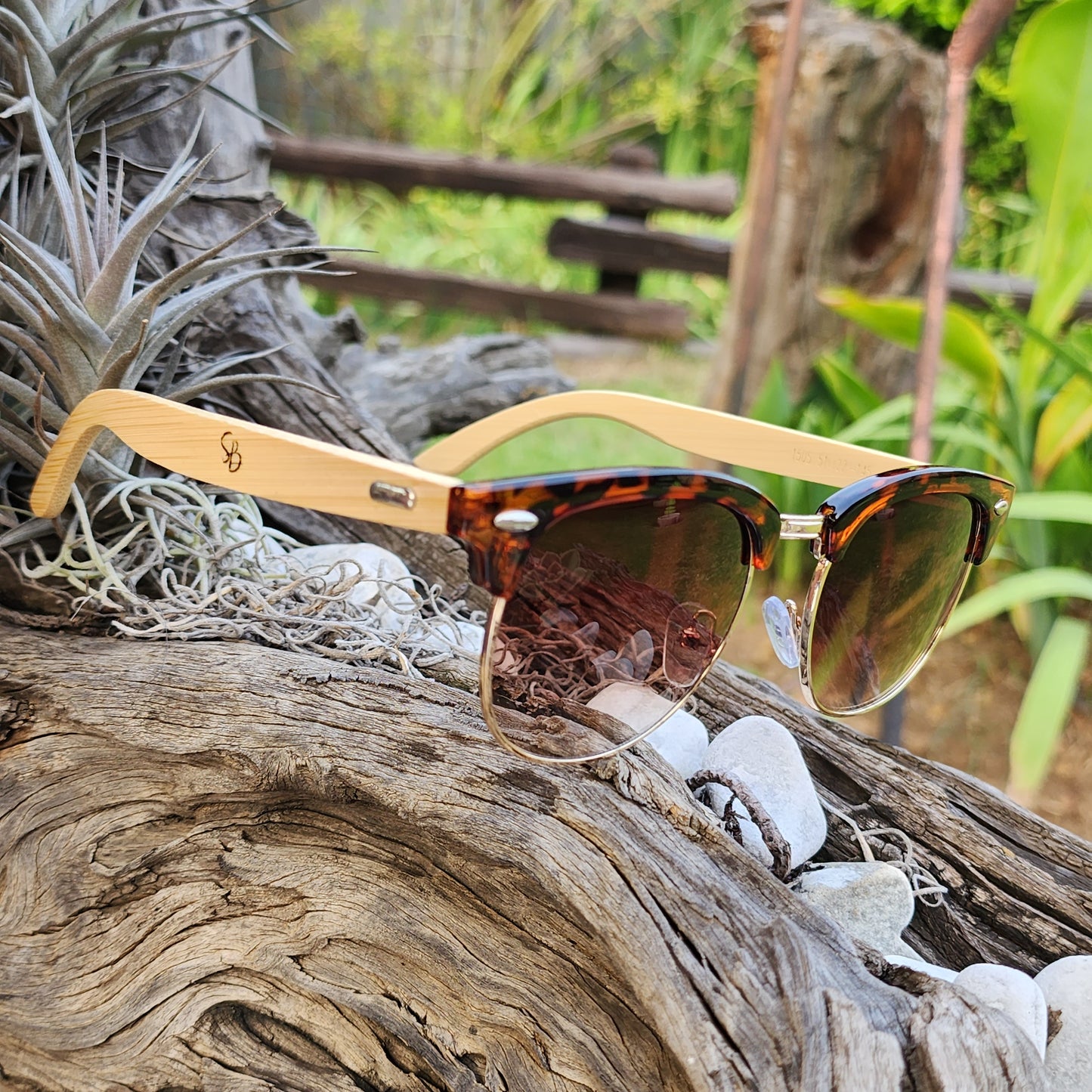 Bamboo Browline Hottentots Timber - SekelBoer