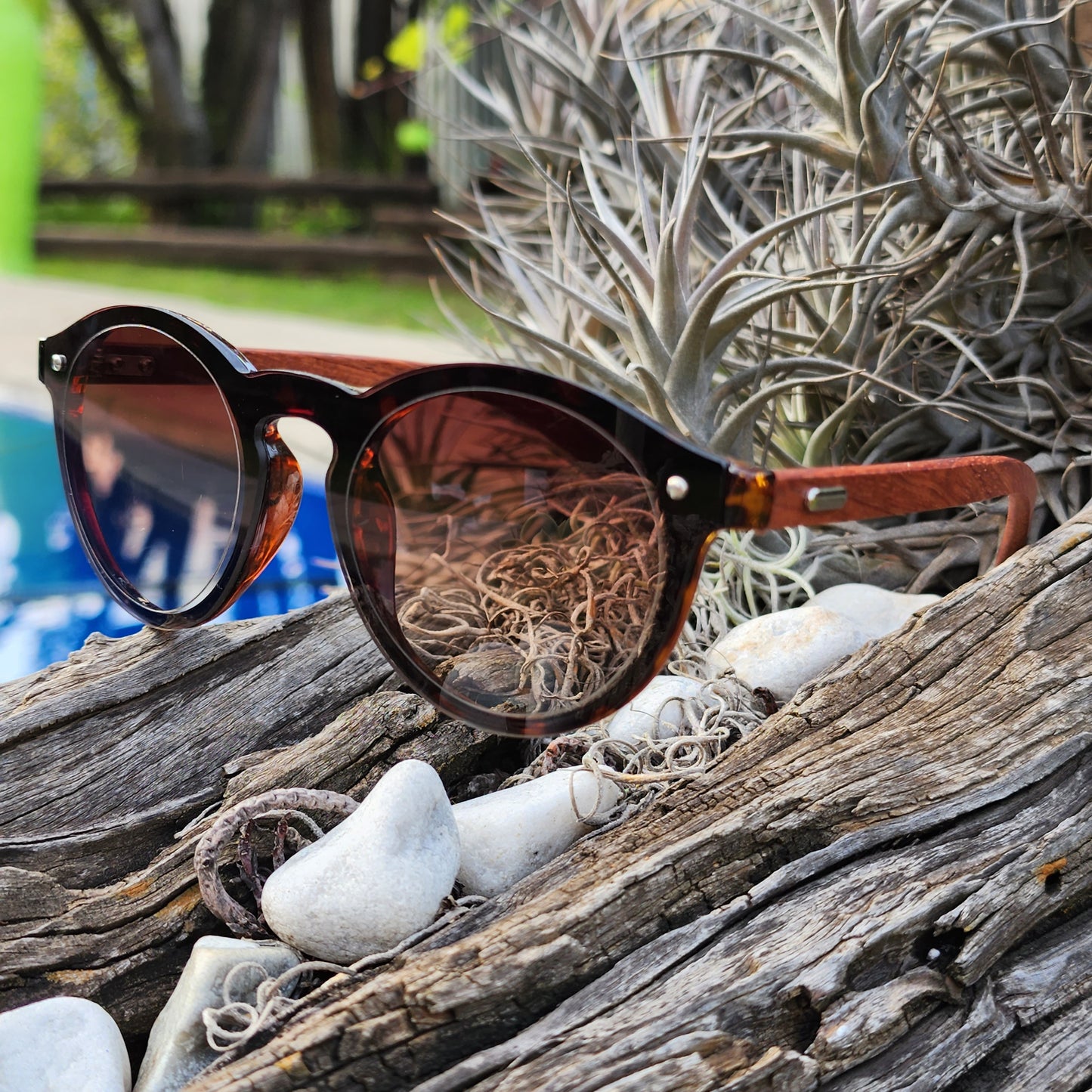 Wooden Cat Eye Hillbrow Hickory - SekelBoer