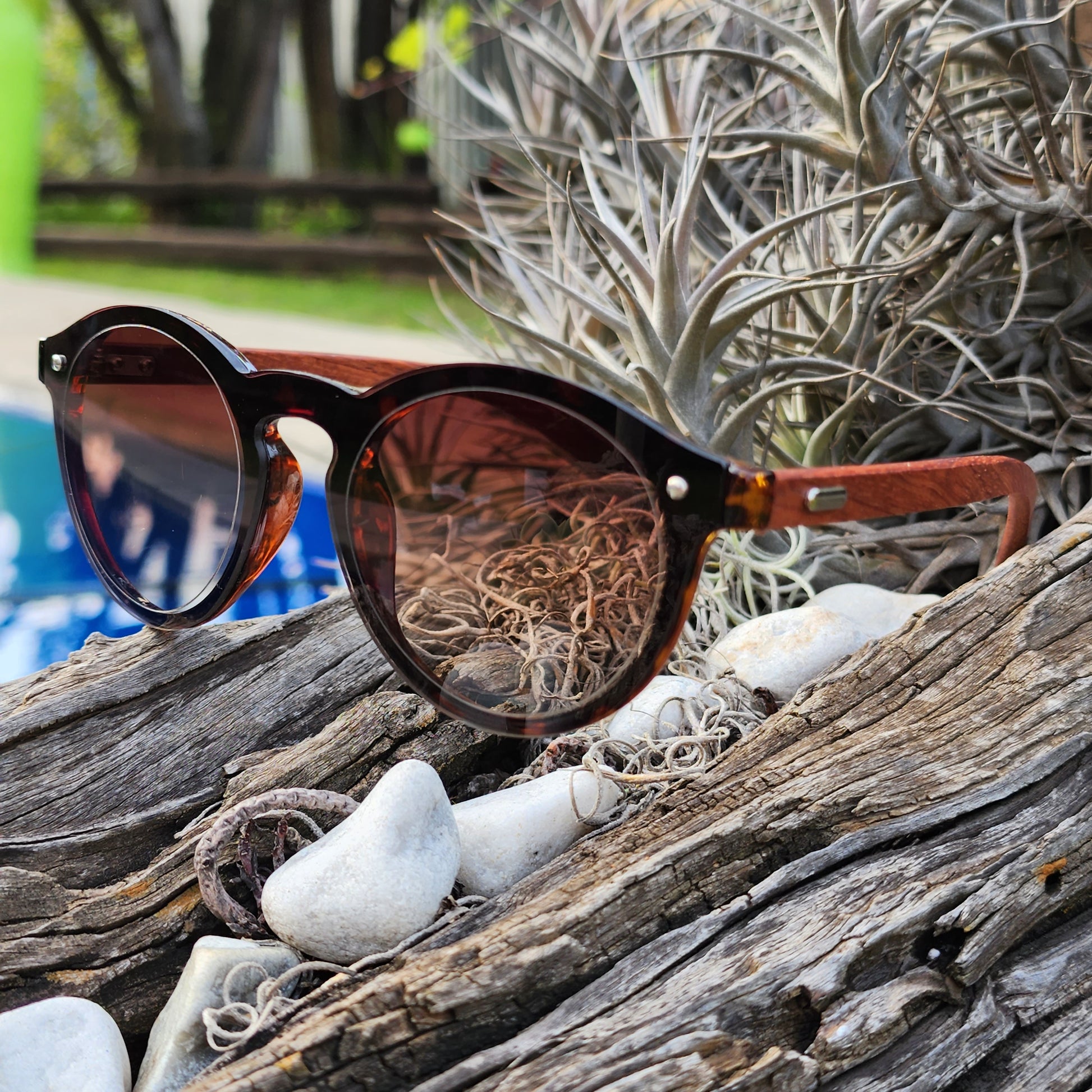 Wooden Cat Eye Hillbrow Hickory - SekelBoer