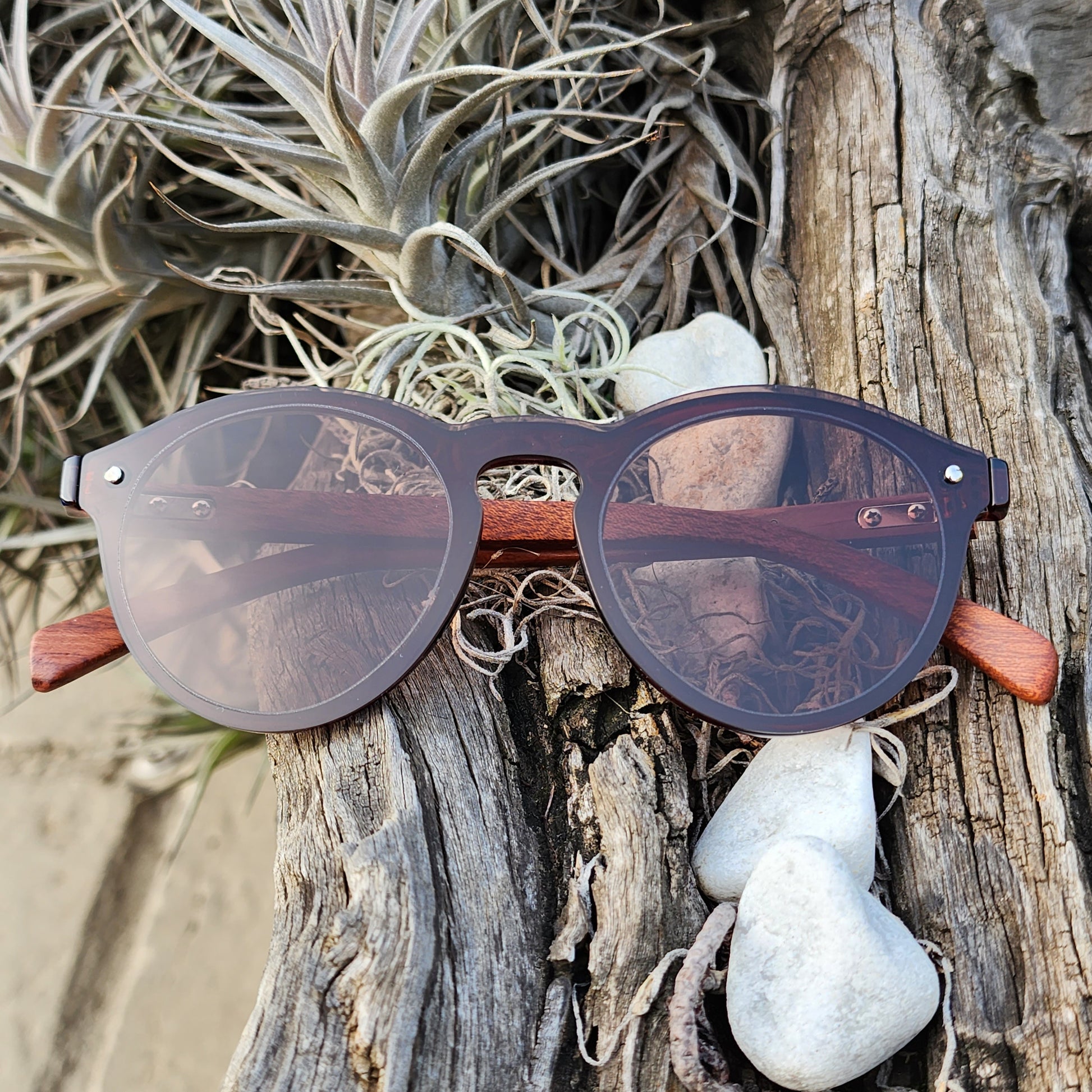 Wooden Cat Eye Newtown Nutwood - SekelBoer