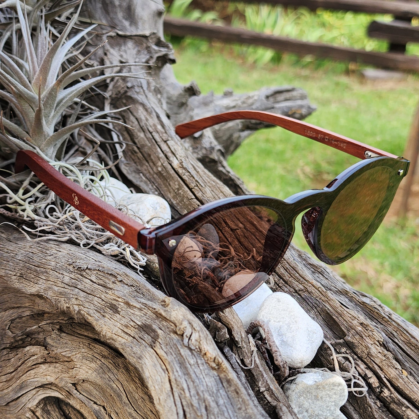 Wooden Cat Eye Newtown Nutwood - SekelBoer